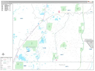 Spring Hill, FL Classic style ZIP Code wall map