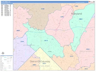 Silver Spring, MD ColorCast style ZIP Code wall map