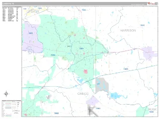Longview, TX Classic style ZIP Code wall map