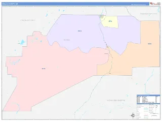 Denali County, AK ColorCast style ZIP Code wall map