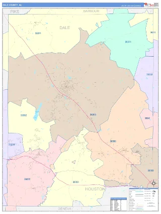 Dale County, AL ColorCast style ZIP Code wall map