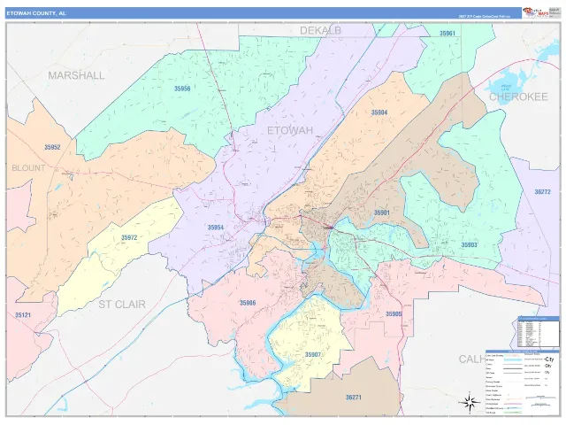 Etowah County, AL ZIP Code Wall Map, ColorCast style