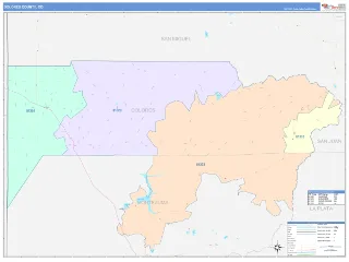 Dolores County, CO ColorCast style ZIP Code wall map