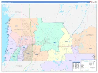 Hernando County, FL ColorCast style ZIP Code wall map