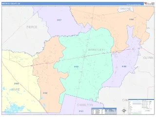 Brantley County, GA ColorCast style ZIP Code wall map