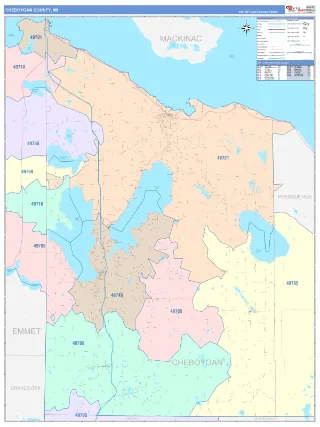 Cheboygan County, MI ColorCast style ZIP Code wall map