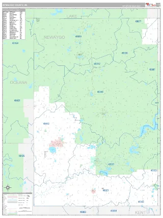 Newaygo County, MI Classic style ZIP Code wall map
