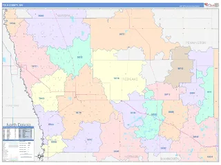 Polk County, MN ColorCast style ZIP Code wall map