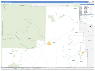 Ripley County, MO Business Reference style ZIP Code wall map