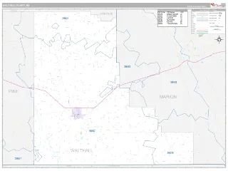 Walthall County, MS Classic style ZIP Code wall map