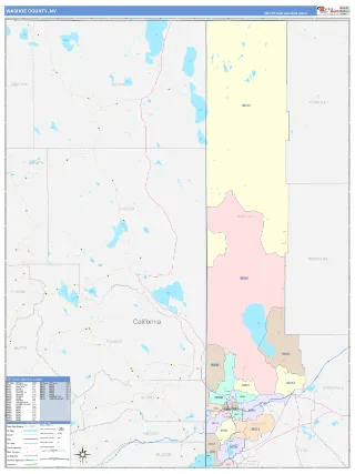 Washoe County, NV ColorCast style ZIP Code wall map