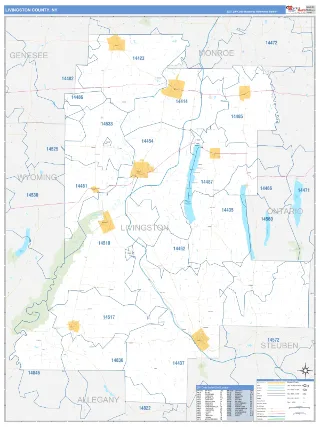 Livingston County, NY Business Reference style ZIP Code wall map