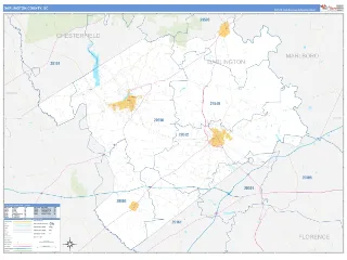 Darlington County, SC Business Reference style ZIP Code wall map