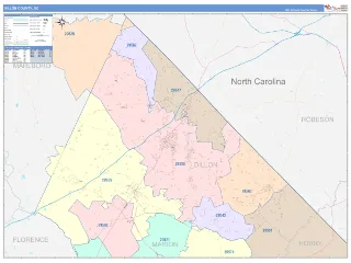 Dillon County, SC ColorCast style ZIP Code wall map