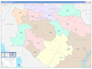 Williamsburg County, SC ColorCast style ZIP Code wall map