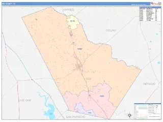 Bee County, TX ColorCast style ZIP Code wall map