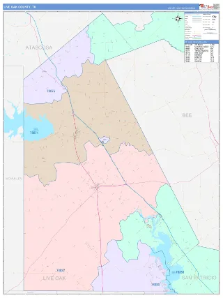 Live Oak County, TX ColorCast style ZIP Code wall map