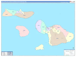 Kahului-Wailuku-Lahaina Metro Area ColorCast style ZIP Code wall map