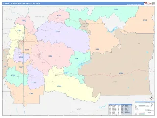 Albany Metro Area ColorCast style ZIP Code wall map