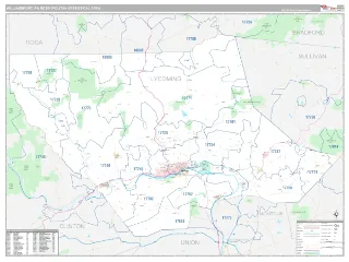 Williamsport Metro Area Classic style ZIP Code wall map
