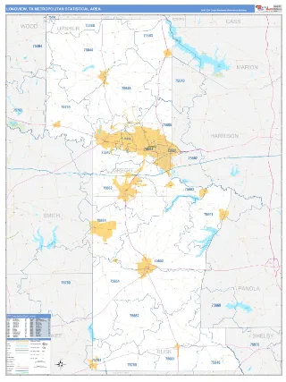 Longview Metro Area Business Reference style ZIP Code wall map